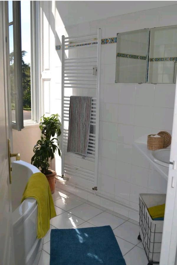 דירות Appart'Chateau La Varenne מראה חיצוני תמונה